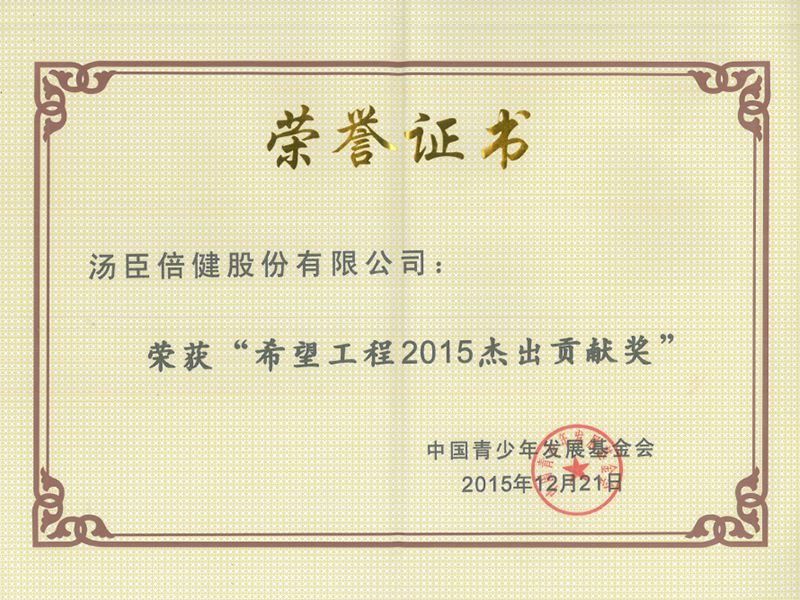 AG视讯荣获“希望工程2015杰出贡献奖”