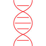 微生态研发中心