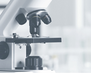 建立高标准检测中心