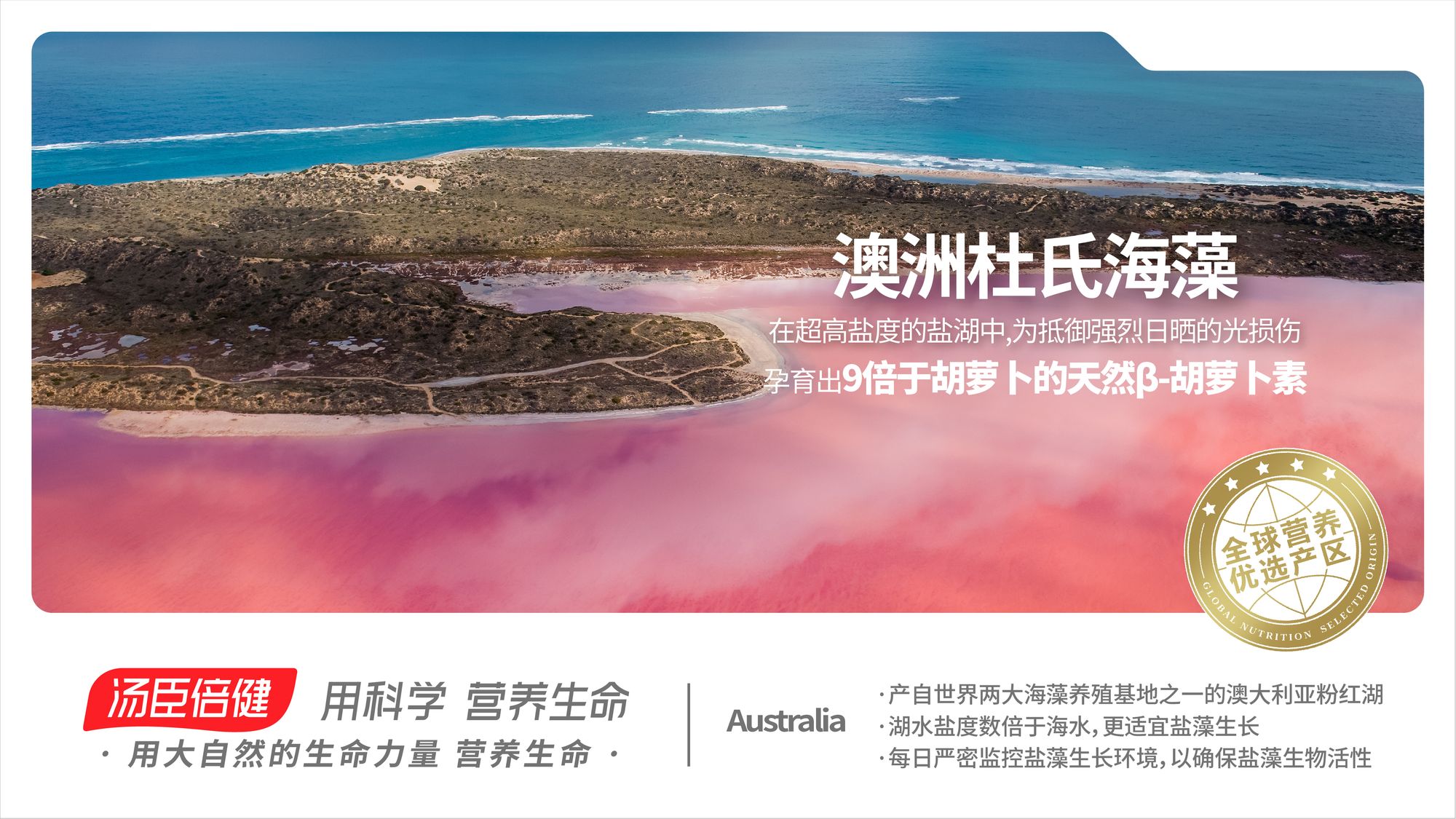 澳洲 杜氏海藻